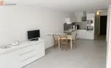 Miniature 12