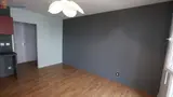 Miniature 4