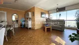 Miniature 0