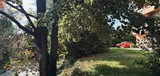 Miniature 8
