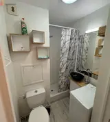 Miniature 1