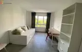 Miniature 5