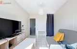 Miniature 3