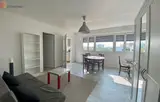 Miniature 5