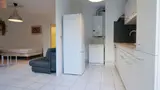 Miniature 3