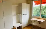 Miniature 7