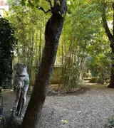 Miniature 6