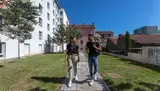 Miniature 3