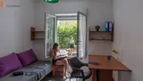 Miniature 0
