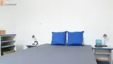 Miniature 5