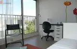 Miniature 0
