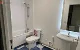 Miniature 5
