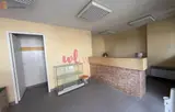 Miniature 7