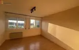Miniature 0
