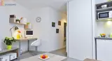 Miniature 10
