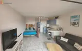 Miniature 4