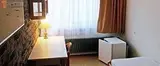 Miniature 10