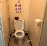 Miniature 3