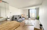 Miniature 5