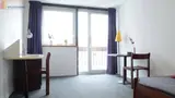 Miniature 3