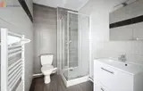 Miniature 3