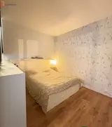 Miniature 16
