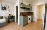 Miniature 4