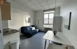 Miniature 3