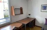 Miniature 13