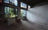 Miniature 5