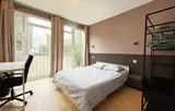 Miniature 4