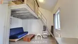 Miniature 5