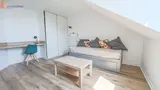 Miniature 0
