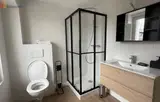 Miniature 5