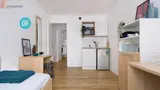 Miniature 4