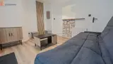 Miniature 14