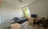 Miniature 0