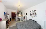 Miniature 5