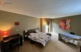 Miniature 0
