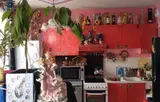Miniature 0