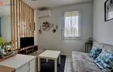 Miniature 8