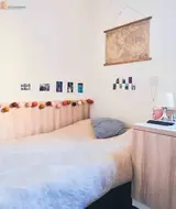 Miniature 8