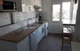 Miniature 4