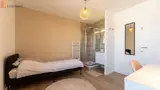 Miniature 10