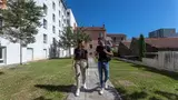 Miniature 13
