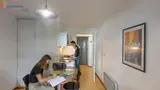 Miniature 10