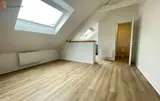 Miniature 0