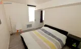 Miniature 4