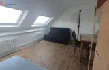 Miniature 0