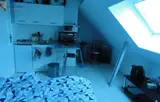 Miniature 3